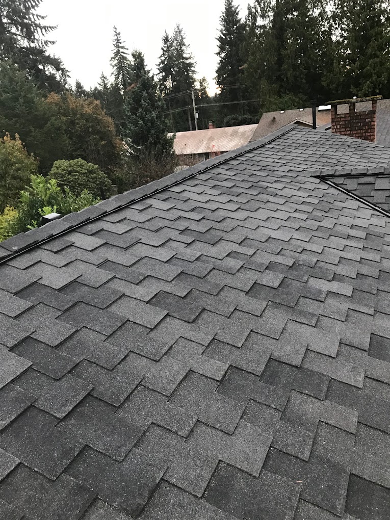 Designer Asphalt Shingles Vancouver