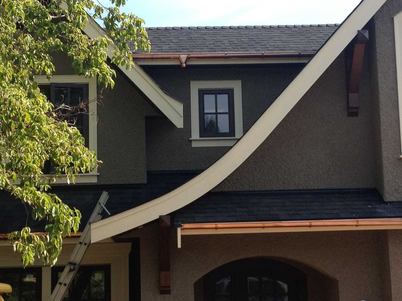 Rainwater Management: How Gutters Protect Your North Shore Home