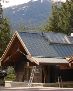 Skylight in Metal Roof