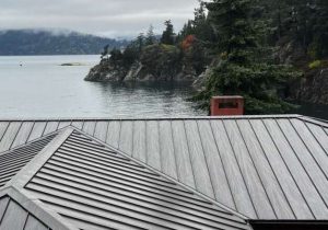 metal roof on coastal home