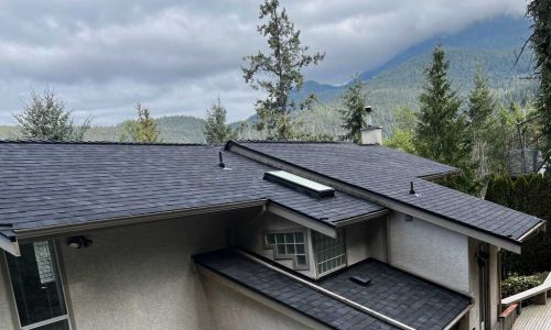 townhomes with skylight