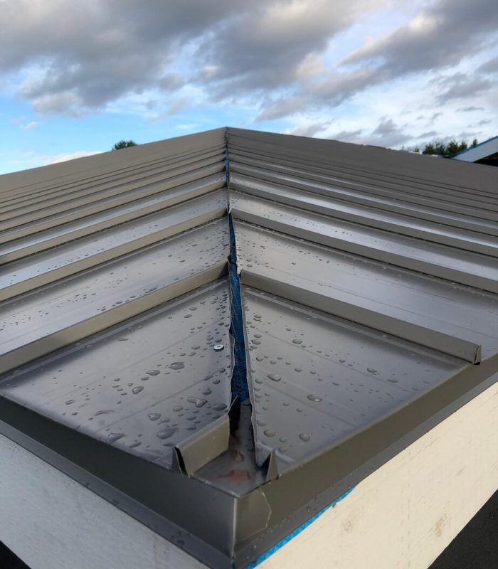 Vancouver Roof Repairs